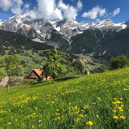 Haus Schmid Apartment