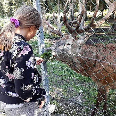 Apartment Haus Schmid Tobadill