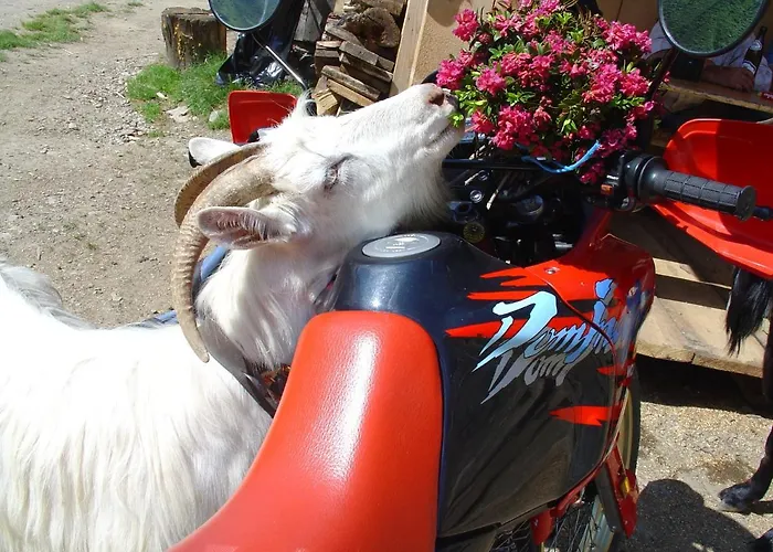 Apartman Haus Schmid